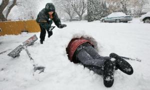 На Нову Зеландію обрушилася снігова буря