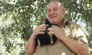 У волинському селі кури несуть бірюзові яйця