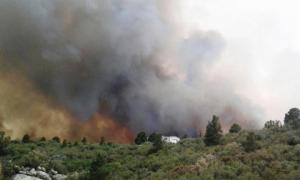 У США згоріли 19 пожежників