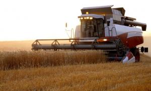 Аграрії вже намолотили майже 6 мільйонів тонн зерна