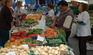 У містах відкриються «пункти збуту» сільгосппродукції від селян і фермерів