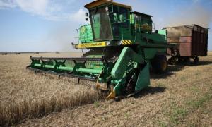 Вітчизняні аграрії вже зібрали половину ранніх зернових