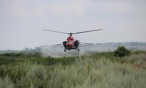 На Житомирщині міліція знищила 10 гектарів самосійної коноплі