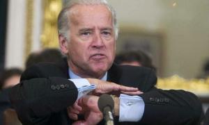 У столиці Індії мавпи закидали віце-президента США бананами