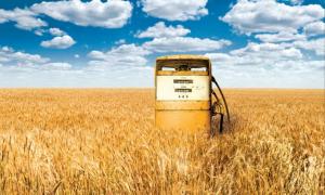 В Україні створять програму розвитку виробництва біопалива