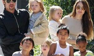 Перш ніж стати безплідною, Анджеліна Джолі хоче народити двійню