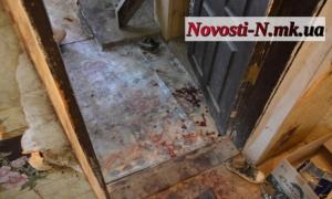 Масове вбивство під Миколаєвом розслідують кінологи та інші експерти
