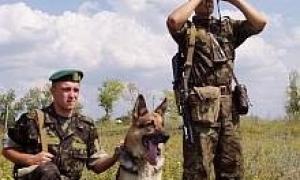 Харківські прикордонники затримали 13 афганських підлітків-нелегалів
