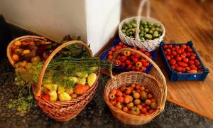 Овочі в Україні рекордно подешевшають