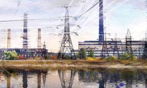 Україна продала Донбасенерго компанії «регіонала» з двомісячною історією