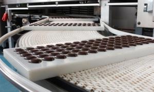 Росспоживнагляд почне перевіряти українські фабрики Рошен восени