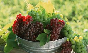 Виноград підвищить працездатність
