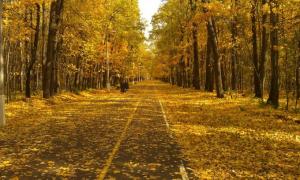 Синоптики запевняють, що осінь буде теплою