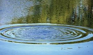 В одну із найбільших річок Великобританії потрапив ціанід