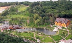 Клюєв каже, що купив долю у Межигір’ї за 146 мільйонів
