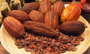 Світовий попит на какао перевищить пропозицію