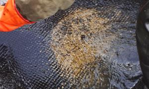 На «батьківщині Дракули» хочуть видобувати золото