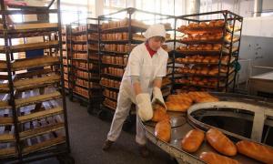 В Україні стрімко скорочується виробництво хліба