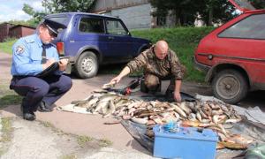 На Чернігівщині «браконьєри-електрики» наловили риби на 65 тисяч гривень