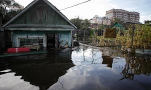 Підтопленим районам Одещини загрожують сибірка і туберкульоз