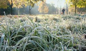 Цього тижня в Україну прийдуть заморозки