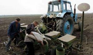 У Путіна передрікають, що Україна стане постачальником робочої сили і продуктів у ЄС
