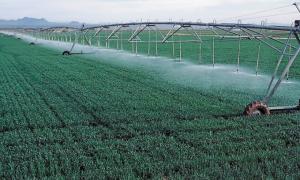 Китай дасть Україні $3 млрд. кредиту для зрошення земель