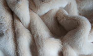 В Україні стрімко розвивається хутрове тваринництво