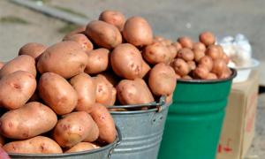 Присяжнюк запевняє, що картопля в Україні коштує 3,4 грн. за кілограм