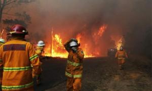 З-під Сіднею через пожежі довелося евакуювати тисячі австралійців 
