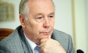 Рибак переконаний, що депутати не підтримають індивідуальне помилування Тимошенко