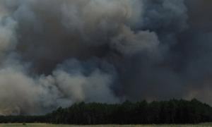 Пастух з Херсонщини отримав 5 років за кинутий недопалок, який спричинив пожежу