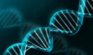 Науковці наблизилися до великої генетичної революції
