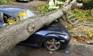 Уночі в Хорватії вирував страшний ураган