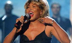 Тіна Тернер офіційно відмовилася бути американською громадянкою