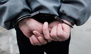До міжнародної банди, яка знімала порнофільми з дітьми, входив українець