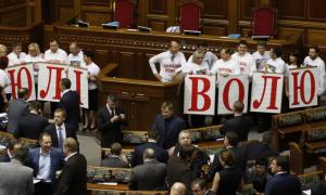 Рибак заявив, що опозиція провалила сьогодні питання лікування Тимошенко