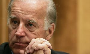 Віце-президент США висловив Януковичу своє розчарування призупиненням асоціації з ЄС