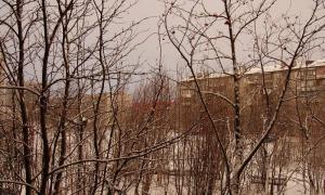 Початок зими в Україні буде теплим