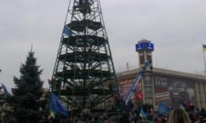 Попов попросив киян підказати, де встановити головну новорічну ялинку