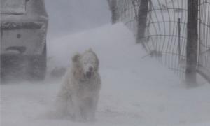 Під час шторму «Ксав’єр» у Європі з шосе вітром здуває важезні вантажівки