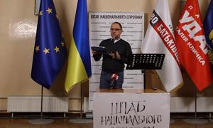 Власенко: Рада Європи стурбована невиконанням рішення ЄСПЛ щодо Юлії Тимошенко 