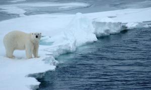 Канада планує оголосити Північний полюс своєю територією