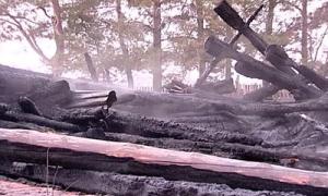 У Фінляндії потужний ураган з вітром знеструмив десятки тисяч будинків