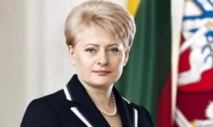 Президент Литви каже, що Європа відкрита для українців, але не для цієї влади