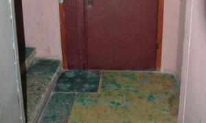 Невідомі облили зеленкою двері квартири матері Пояркова