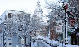 Морози коштували США $5 мільярдів