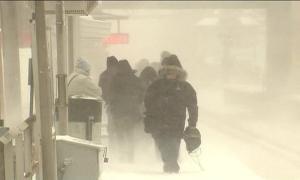 У США вирує сніговий шторм