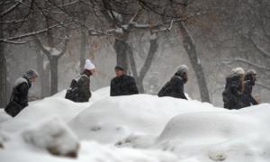 Європа потерпає від снігопадів, у Болгарії замерзли чотири людини