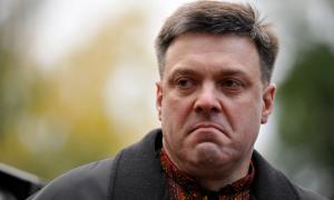 Тягнибок: Обвал гривні був штучно зроблений владою з метою власного збагачення